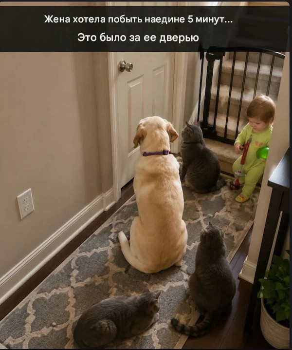 картинка cebd711570 21169409