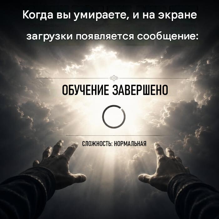 картинка cf599eb44a 1786076429