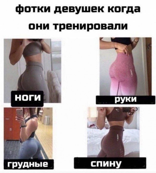 картинка cfb371c8fd 21173331