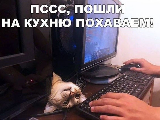картинка cfb535ee27 21203935