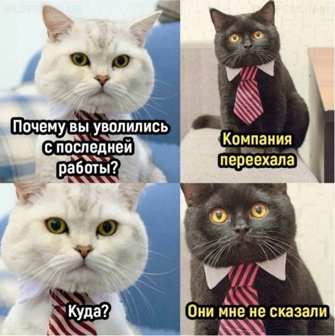 картинка cfc78823dc svezhaja podborka memov i kartinok kotorye realno podnimajut nastroenie 2