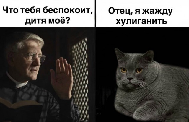 картинка d1c0a2dd8e 21149729