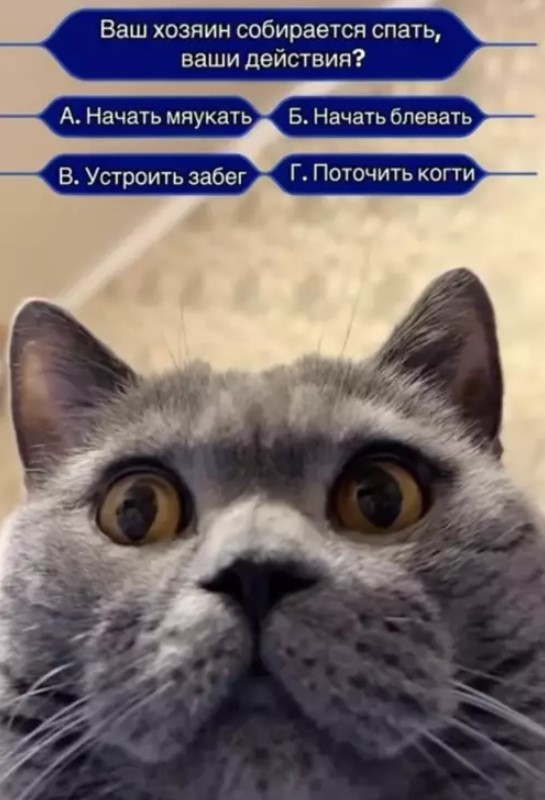 картинка d21276c6cb 21150174