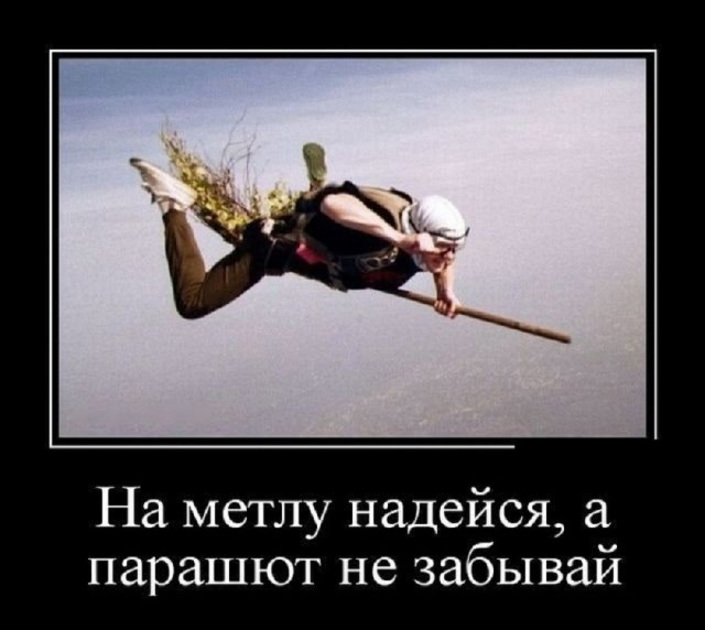 картинка d43339c4e1 21164463