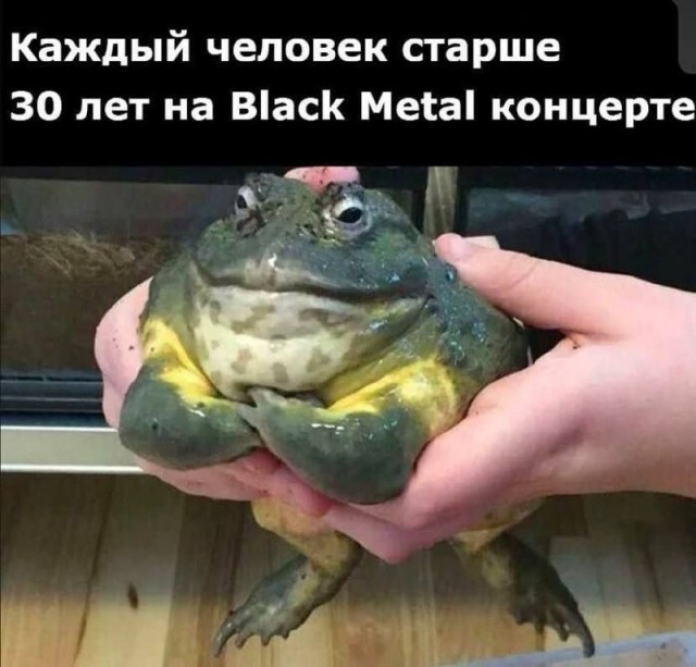 картинка d481132c68 21121416