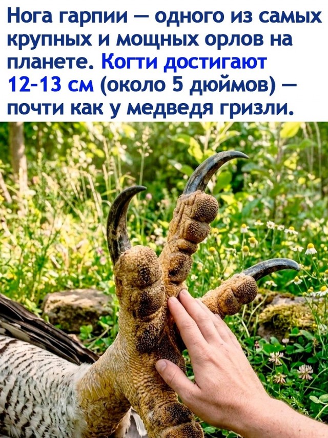Хватит грустить — пора посмеяться! 🚀 просто, Друзья, которыми, Ситуации, которых, узнаешь, Немного, абсурдного, юмора, Картинки, поделиться, захочется, рутиныВ, друзьямиЗаваривайте, устраивайтесь, поудобнее, листайте, конца, заряд, позитива