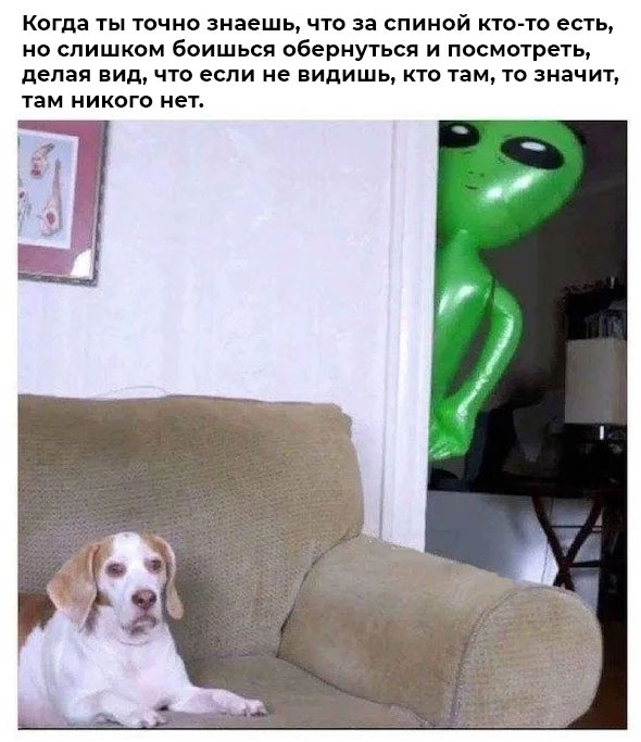 картинка d4f52fbccd 21182731