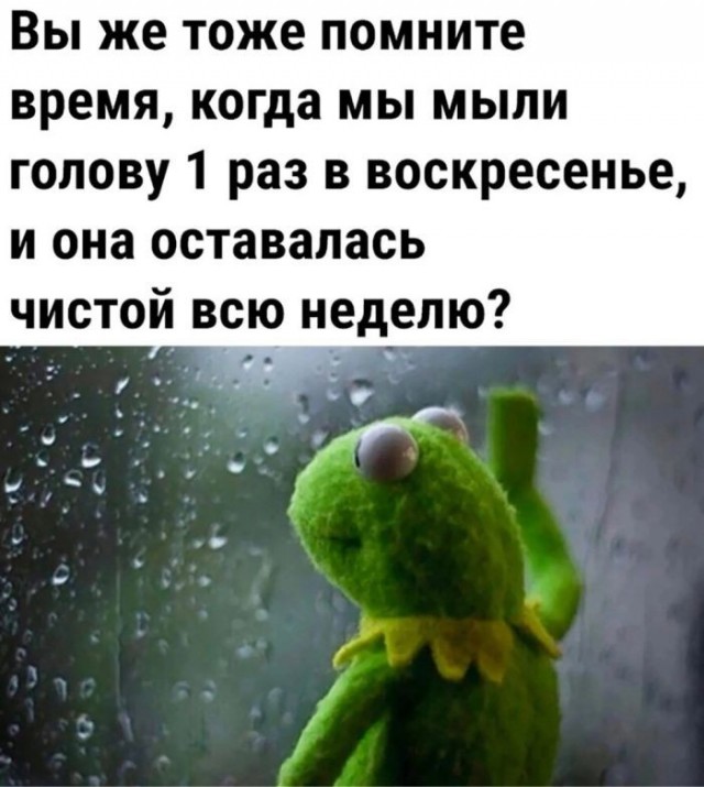 картинка d57e5413d7 21173337