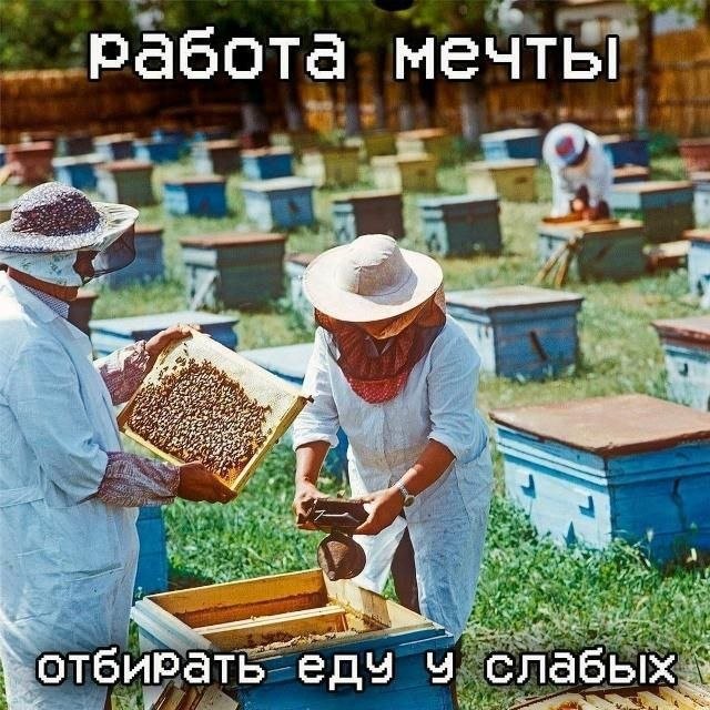 картинка d60068cd4a 21149637