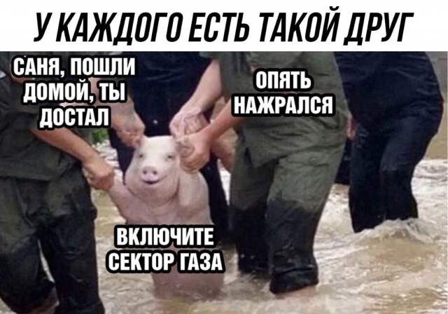Утро не задалось? 😴 У нас есть план спасения: порция мемов и смешных комментариев. сегодня, переходите, позитивом, улыбаемся, потихоньку, настраиваемся, отличный, 💪Скорее, ссылке, кофе», пусть, хорошее, настроение, будет, первых, минут, 👇Предыдущая, Заряжаемся, чашка, будильник