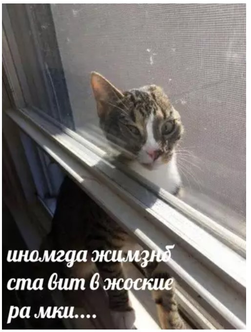 картинка d89852b81c 21122278