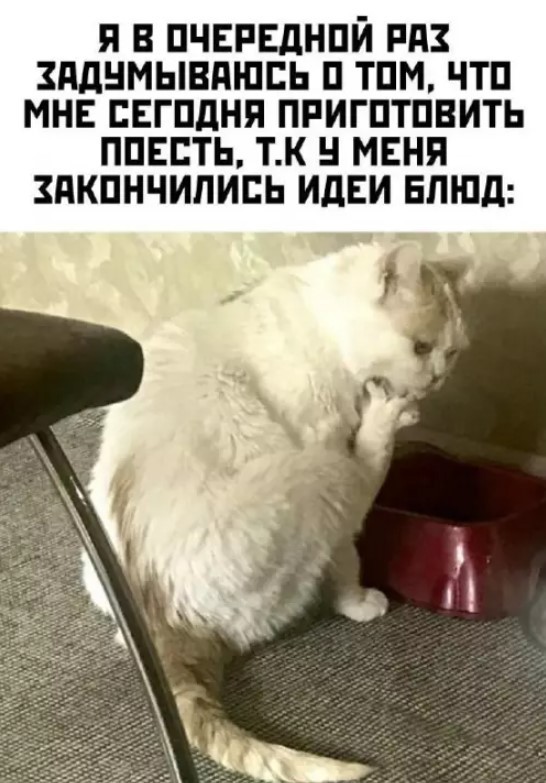 Пятница — маленькая жизнь! 🚀 дождались, последние, которые, поймет, каждый, сегодня, трудом, досиживает, офисе, коллекцию, Листайте, смейтесь, пусть, пролетит, незаметно👇, Заряжаемся, отличные, мемов, юмораСобрали, официально