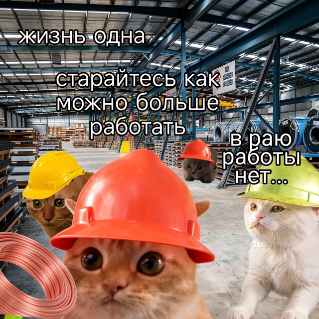 картинка da53da6cc3 21169416