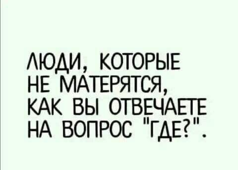 картинка da65318d05 21164843
