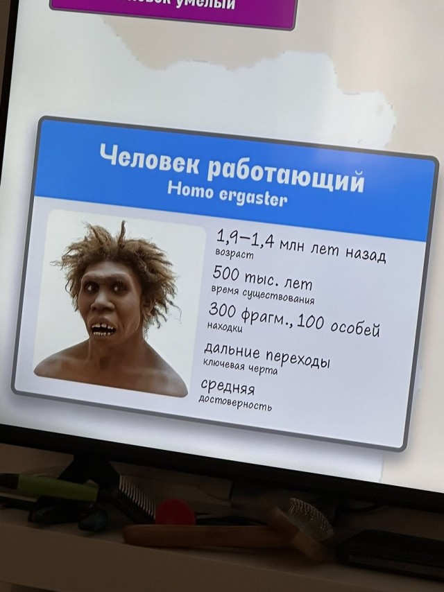 картинка db14923fff 21134560