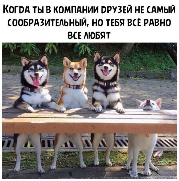 картинка dd2ce5b793 kogda dazhe kofe sdalsja a den uzhe proigral 14