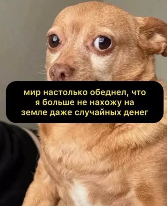 Понедельник — день тяжелый? Только не у нас! ☕️ Признавайтесь, тяжелый», новую, врываемся, позитивом, Заряжаемся, дыхании, одном, пройдет, понедельник, незаметно, пролетит, время, подборкой, нашей, «день, прошло, волнуЗабудьте, рабочую, настроиться