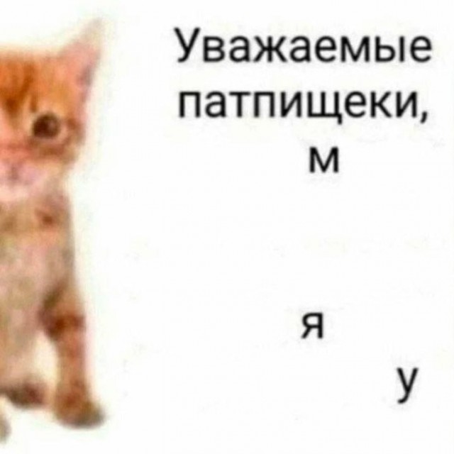 картинка dd46b2fa41 21134583