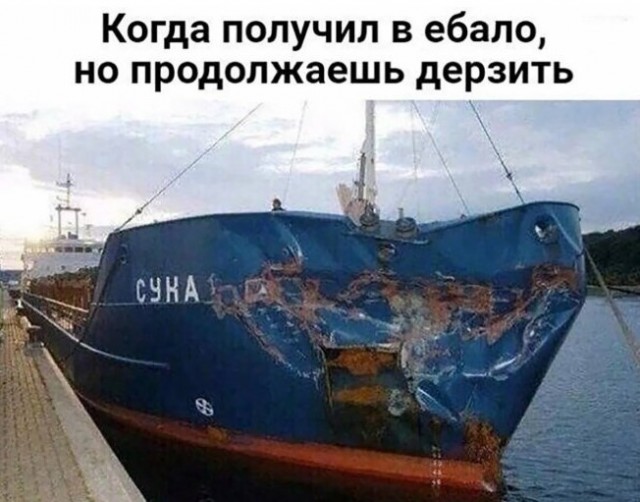 Пятница — маленькая жизнь! 🚀 дождались, последние, которые, поймет, каждый, сегодня, трудом, досиживает, офисе, коллекцию, Листайте, смейтесь, пусть, пролетит, незаметно👇, Заряжаемся, отличные, мемов, юмораСобрали, официально