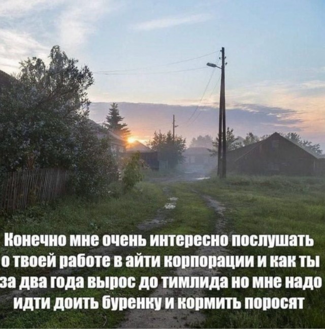 картинка e0a52b63ed 21182698