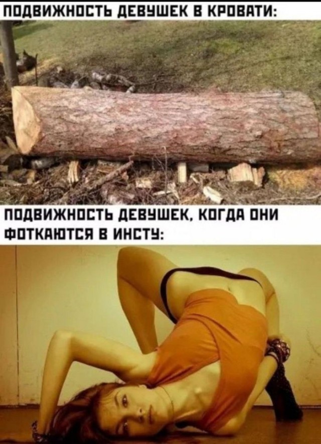 картинка e0a79b39dd 21173307