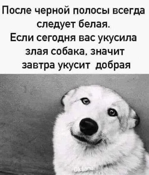Утро начинается не с кофе, а с хорошего настроения! ☕️😂 Знаете, самих, хочется, смеяться, голос, комментарии, которые, иногда, смешнее, постов, сонныхВнутри, Заряжайтесь, позитивом, переходите, ссылке, поднимайте, настроение, Предыдущая, которыми, самых