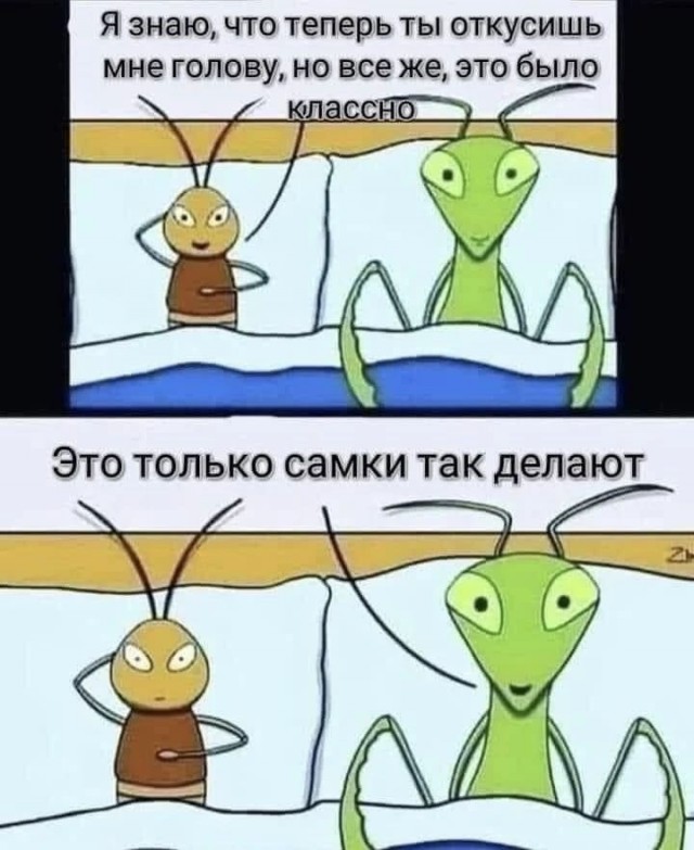 картинка e3343acef8 21184071