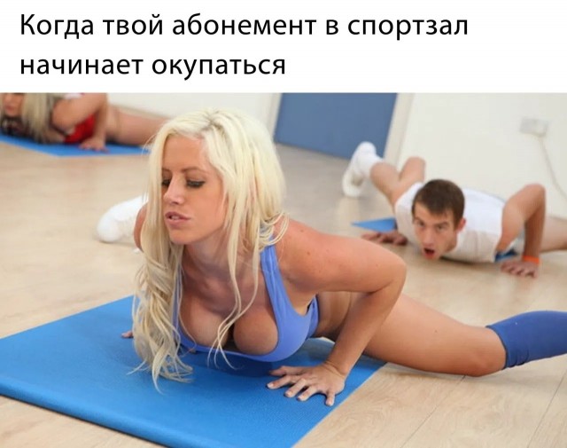 картинка e53bb7c1a8 21164468