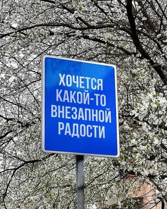 картинка e700071f06 21134558