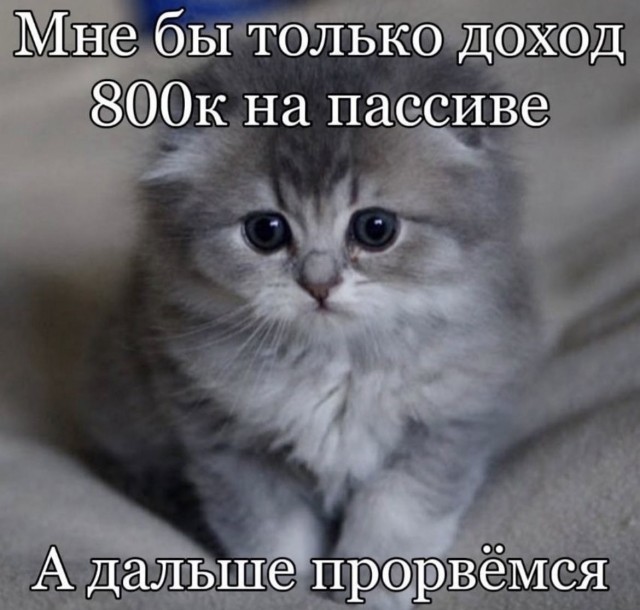 Рабочая неделя официально повержена! 🥊 Рабочая неделя официально повержена! 🥊 Чтобы, эндорфинов, самое, конца, собойЛистайте, улетучатся, мысли, рабочие, небес, подскочит, уровень, переход, Гарантируем, мемов, свежий, собрали, плавно, максимально, прошел, «выходные»
