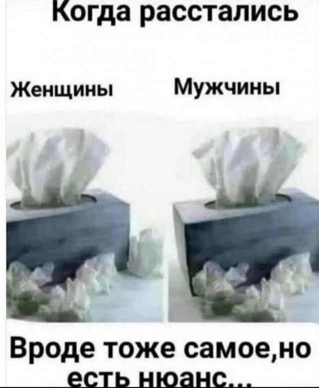 картинка e80992c23c 21183703