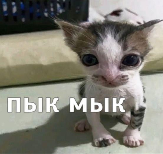 Пятница — официальный день «выживших»! 🥂 друзья, офисе, настроением, заряжайтесь, смейтесь, Листайте, момент, неделю, каждый, поймет, которые, юмора, отборного, порцию, собрали, удаленке, последние, дожили, казаться, Пятница