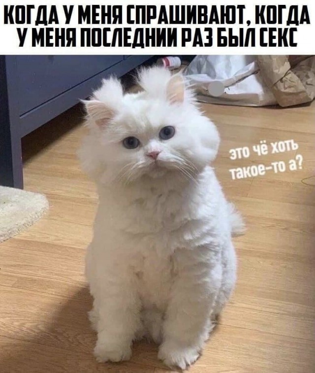 картинка e9ebb98064 21180984