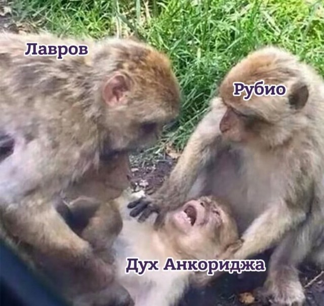 картинка ead4c48ce7 21149641