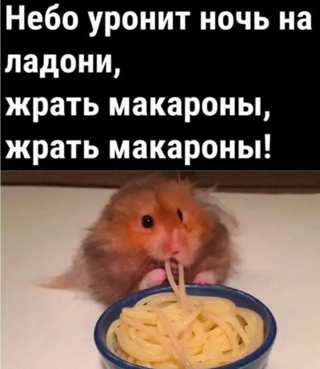 картинка eb17d4bc72 21138060