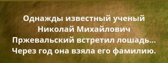 картинка eb88db805a 21138039