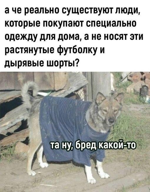 картинка ec6a5f3ee9 21116584