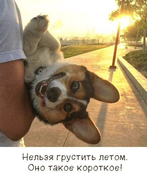 Пятница — официальный день «выживших»! 🥂 друзья, офисе, настроением, заряжайтесь, смейтесь, Листайте, момент, неделю, каждый, поймет, которые, юмора, отборного, порцию, собрали, удаленке, последние, дожили, казаться, Пятница