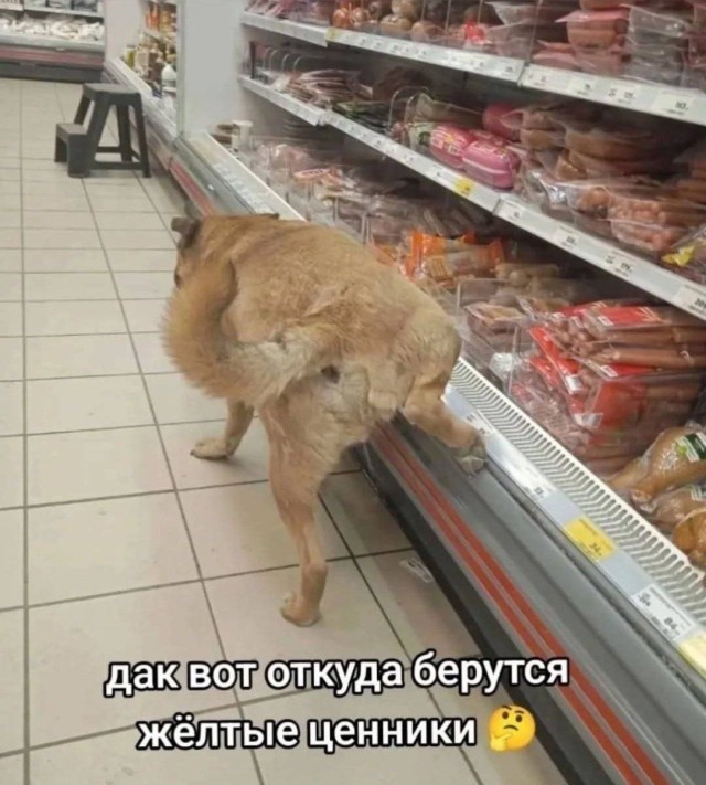 картинка ee86881bb0 21121435