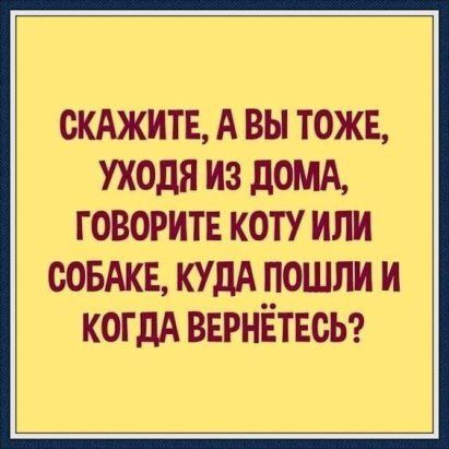 Устали от серых будней? Заряжаемся позитивом: свежая порция мемов и комментариев, которые сделают ваш день! которые, комментариях, самое, Бывают, 2010го, улыбнуться, выдохнуть, могли, чтобы, свежий, Только, «бородатых», анекдотов, силами, актуальное, только, отобрали, себяМы, узнает, каждый