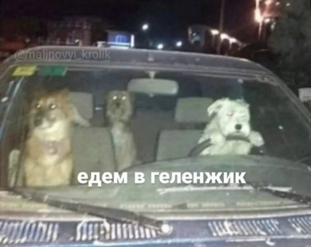 Рабочая неделя официально повержена! 🥊 Рабочая неделя официально повержена! 🥊 Чтобы, эндорфинов, самое, конца, собойЛистайте, улетучатся, мысли, рабочие, небес, подскочит, уровень, переход, Гарантируем, мемов, свежий, собрали, плавно, максимально, прошел, «выходные»