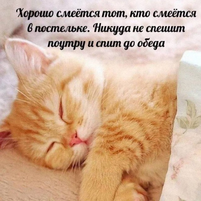 картинка f2b32b3fc5 21134552