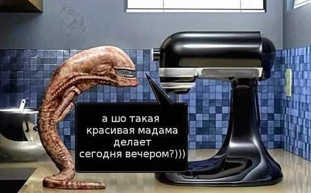картинка f401511ec6 21134576