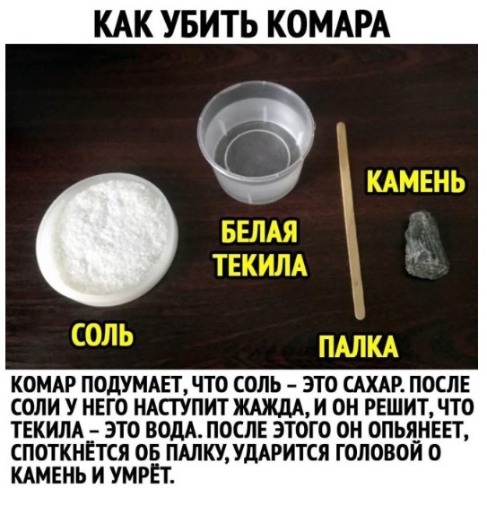 картинка f40b62ddbc 21150159