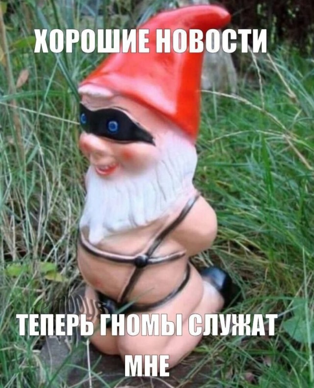 картинка f477140223 21153429