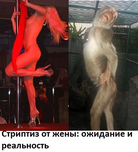 картинка f480ce8e5e 21152980