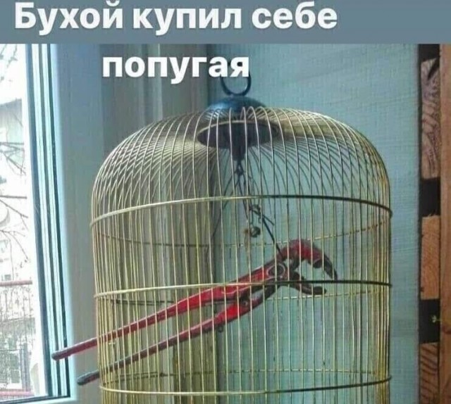 картинка f5cfdc7db0 21151571