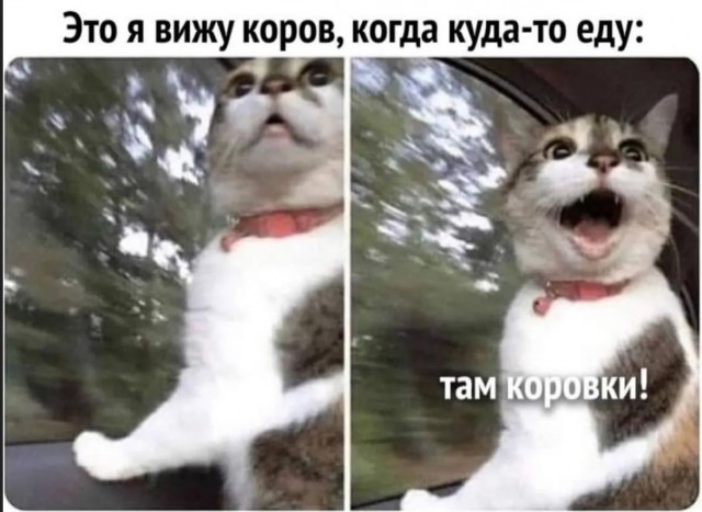 картинка f5f7d60c4f 21121429