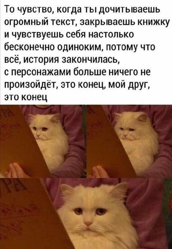 картинка f65b320822 21204382