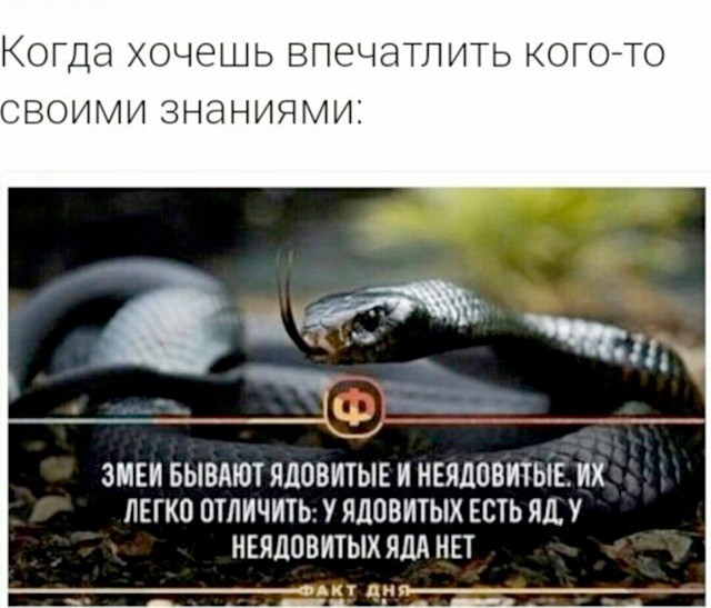 картинка f6c2643d9b 21183385